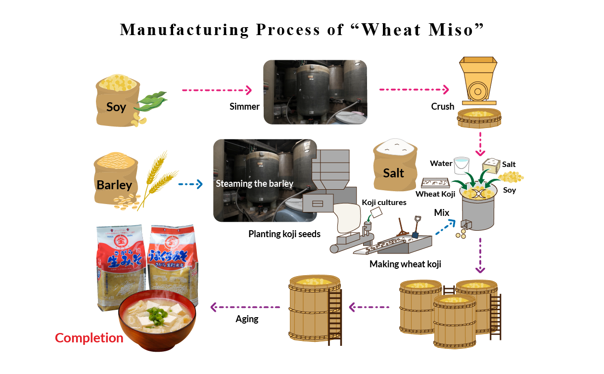 Manufacturing Process of “Wheat Miso”
