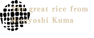 The great rice from Hitoyoshi Kuma Mori no kumasan